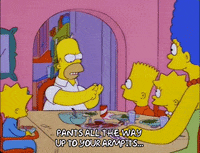 homer simpson episode 22 GIF