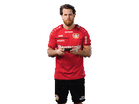 Winning Bayer 04 Sticker by Bayer 04 Leverkusen