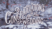 Hallmark Ecards Winter GIF by Hallmark Gold Crown