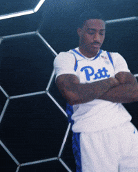 Pitt Basketball Polo GIF by Pitt Panthers