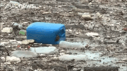 Trash GIF by euronews