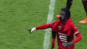 GIF by Ligue 1