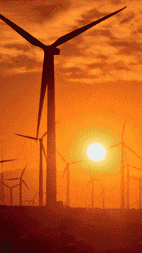 Climate Change Environment GIF by TeaCosyFolk