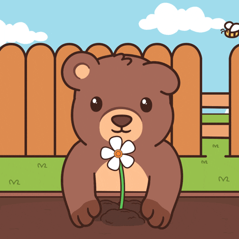 Teddy Bear Flower GIF by BEARISH