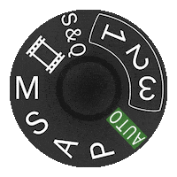 Sony Sonyalpha Sticker