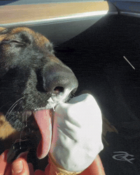 Licking Ice Cream GIF by Respective