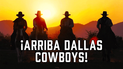 Dallas Cowboys Sport GIF by Sealed With A GIF