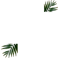 Sosu Bahama Body Sticker by SOSUbySJ