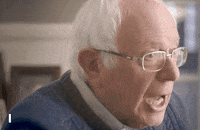 Feel The Bern Democracy GIF by Bernie Sanders