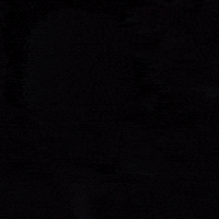 Monster Energy GIF