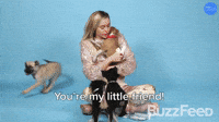 You're My Little Friend