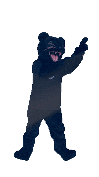 Academica Sticker by Somerset Panthers