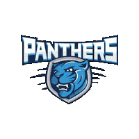 somersetpanthers somerset academica somerset panthers somerset academy Sticker