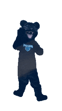 Academica Sticker by Somerset Panthers