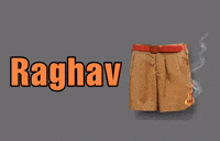 Raghav Chadha GIF