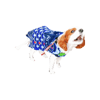 Dogs Love Sticker