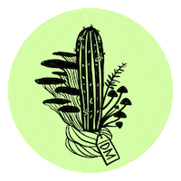 Branding Agency Sticker by Deus Marca