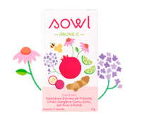 Sowl Sticker by ritualsowl