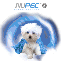 Supernupec perro cachorro nutricion nupec Sticker