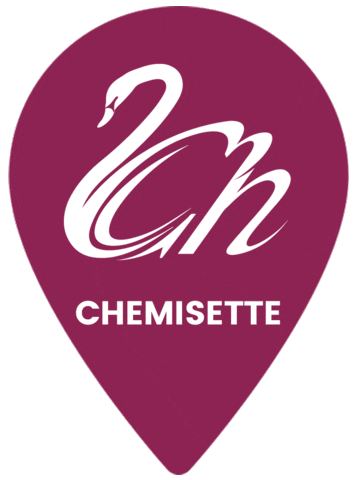 Pin Fajas Sticker by Chemisette