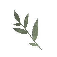 Vibes Leaf Sticker
