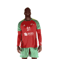 Ehfeuro Sticker by Federação de Andebol de Portugal