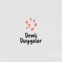 pasabahce hayatengüzelhediye paşabahçemağazaları pasabahcemagazalaricom GIF