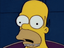 homer simpson episode 3 GIF