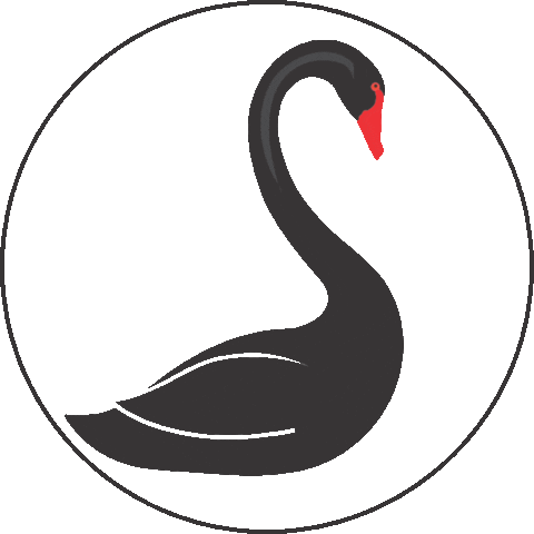 Logo House Sticker by Black Swan Home Group