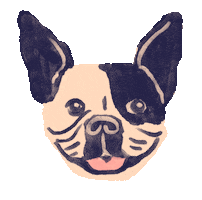 French Bulldog Dog Sticker by Kat Schneider
