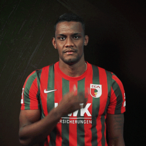 Think La Pantera GIF by FC Augsburg 1907