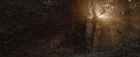 lane 1974 GIF by The Orchard Films