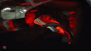 Show Off Hip Hop GIF by DCG Brothers