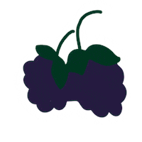 Mx Blackberry Sticker by Delibarrasmx