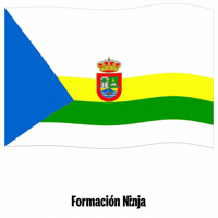 Las Palmas Bandera GIF by Formación Ninja