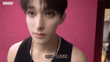 Eyes Puppy GIF