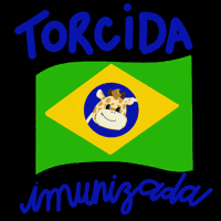 Futebol Copa GIF by Clínica Vaccinate