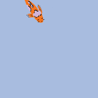 fish swim GIF by ali mac