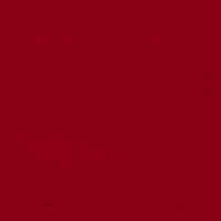Go Cards GIF by Louisville Cardinals