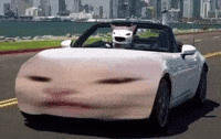 Nd Cat Miata Meme GIF