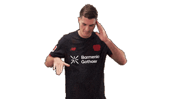 Bayer Leverkusen Football Sticker by Bundesliga