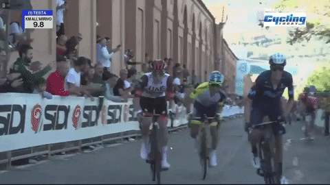 spencermartin1c3d giphygifmaker GIF