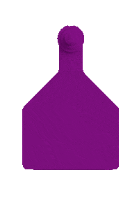 Pig Goat Sticker by datamarslivestock