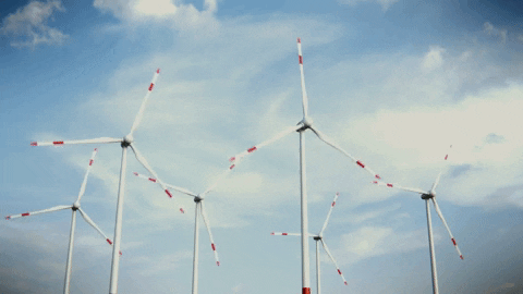 MultimediaEP giphygifmaker GIF