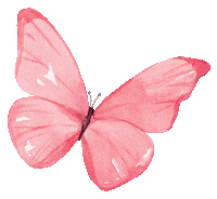 Fly Sticker