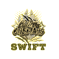Cheerleading Sticker by Chiltern Cheetahs