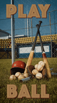 Go Team Baseball GIF by Sealed With A GIF