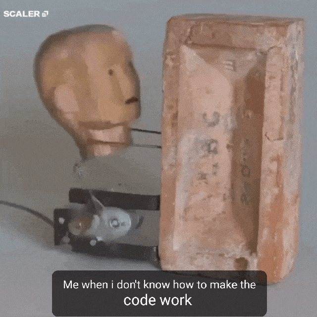 *bangs head on wall cutely*