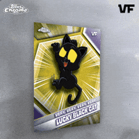 Cat Collect GIF by VeeFriends