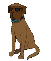 Dog Dancing Sticker